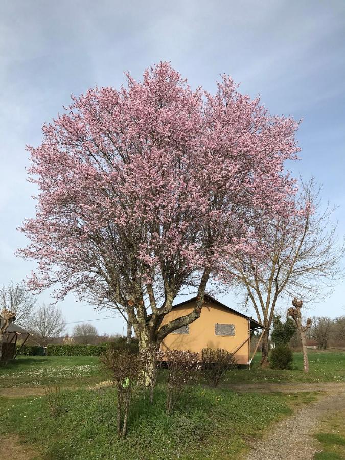 Le Mondou Saint-Julien-de-Lampon Bagian luar foto